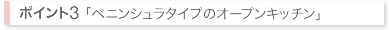 ペニンシュラタイプのオープンキッチン