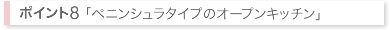 ペニンシュラタイプのオープンキッチン